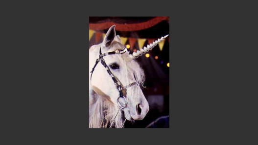 The Little Unicorn
