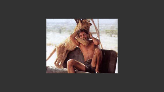 To Walk with Lions
