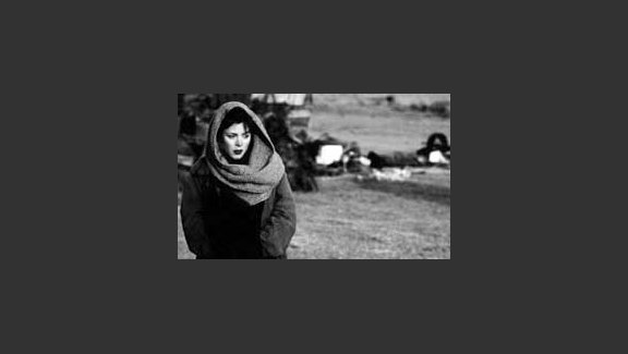 The War Bride