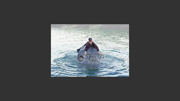 MEE-SHEE: The Water Giant