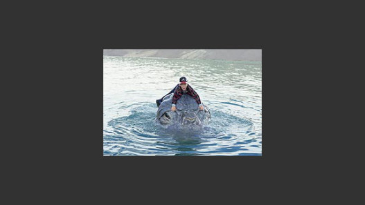 MEE-SHEE: The Water Giant