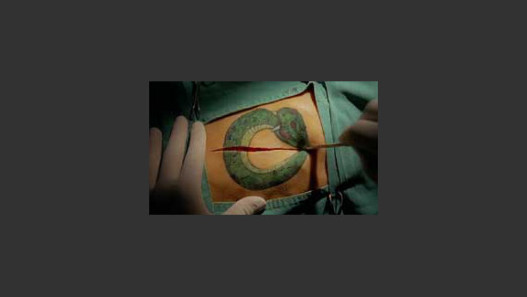 Snake
