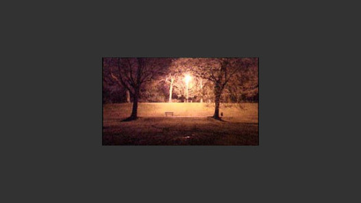Parklife