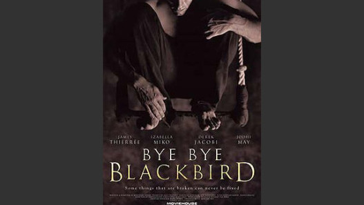 Bye Bye Blackbird