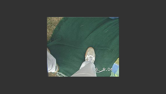 6.6.04
