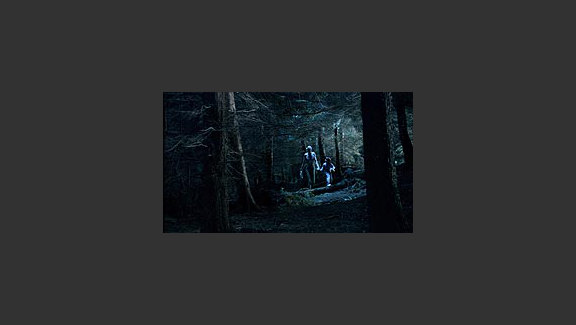 Ordan's Forest