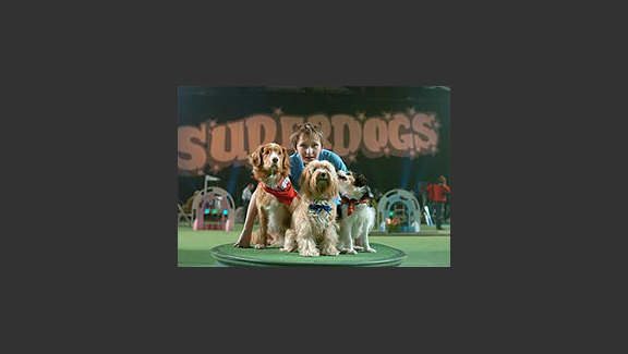 Daniel and the Superdogs