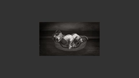 Ebenezer Morgan's Photography Emporium