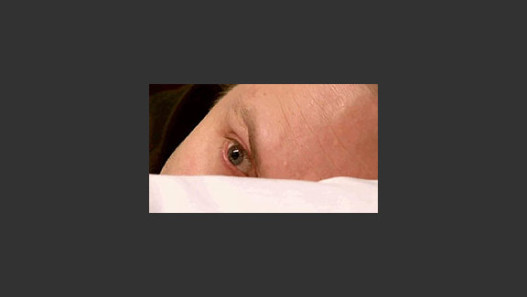 The Bed Guy