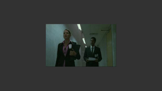 The Applicant