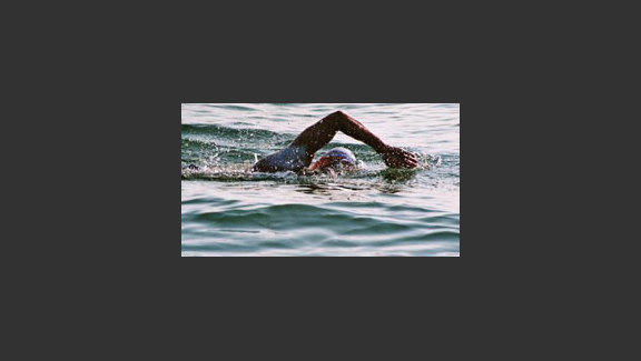 Two Swimmers
