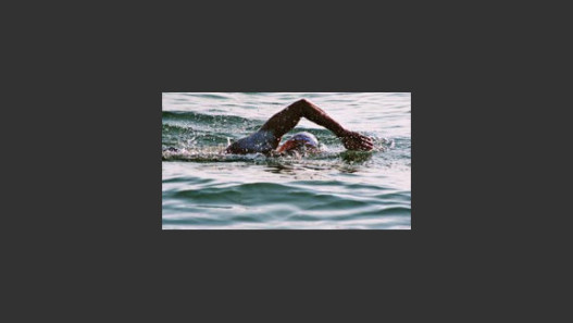 Two Swimmers