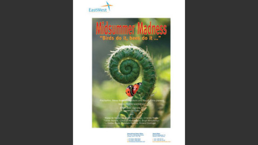 Midsummer Madness