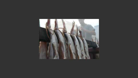 The History of the Smokie