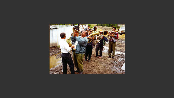 The Brassy Bands