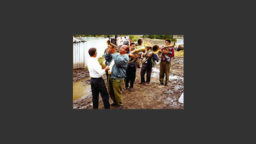 The Brassy Bands