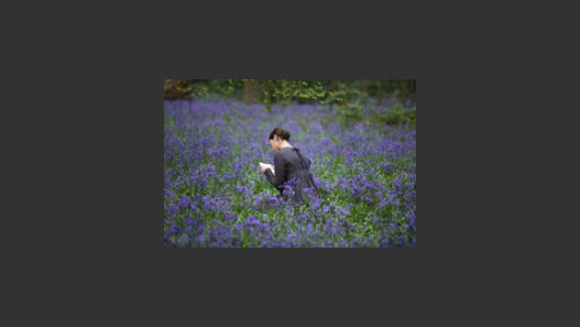 Bright Star