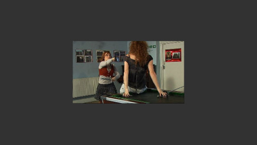 Duel Purpose