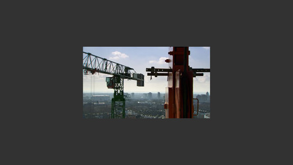 The Solitary Life of Cranes
