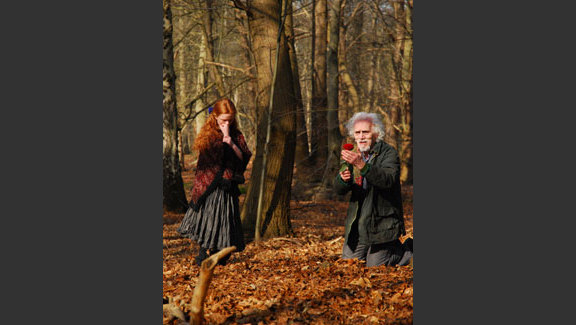 The Rose and the Poison Tree