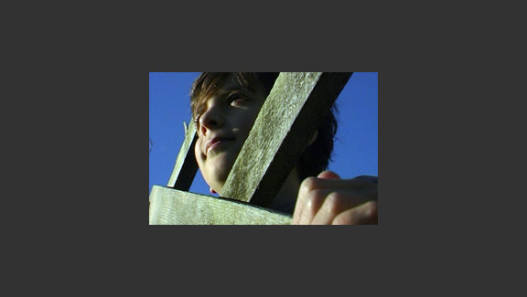 Seeing