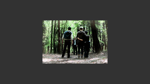 Into The Woods