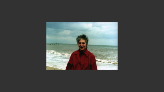 Margaret Mellis a Life in Colour