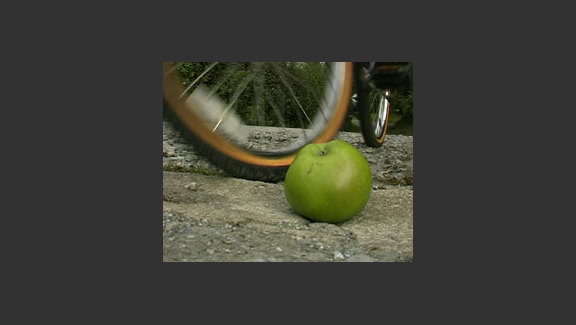 The Boy, the Bike, and the Apple