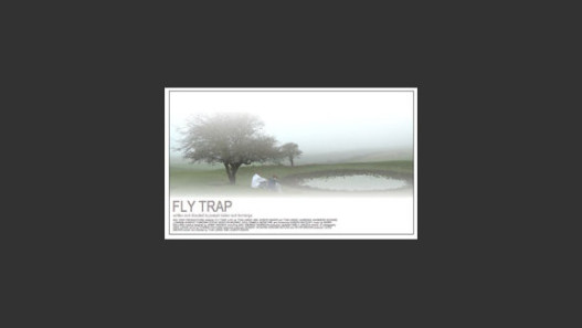 Fly Trap