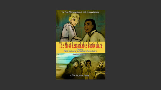 The Most Remarkable Particulars