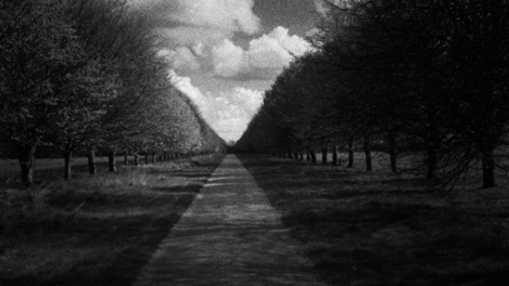 Patience (After Sebald)