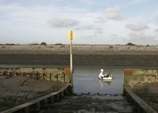 Swandown