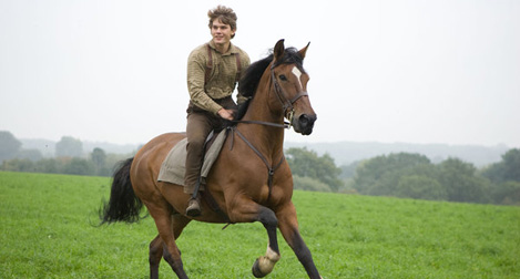 War Horse